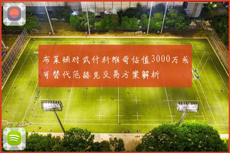 布莱顿对武什科维奇估值3000万或可替代范赫克交易方案解析