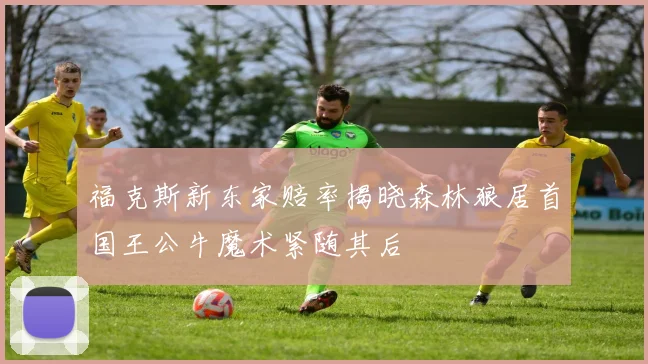 福克斯新东家赔率揭晓森林狼居首国王公牛魔术紧随其后