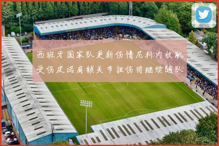西班牙国家队更新伤情尼科内收肌受伤皮诺肩锁关节扭伤将继续随队训练
